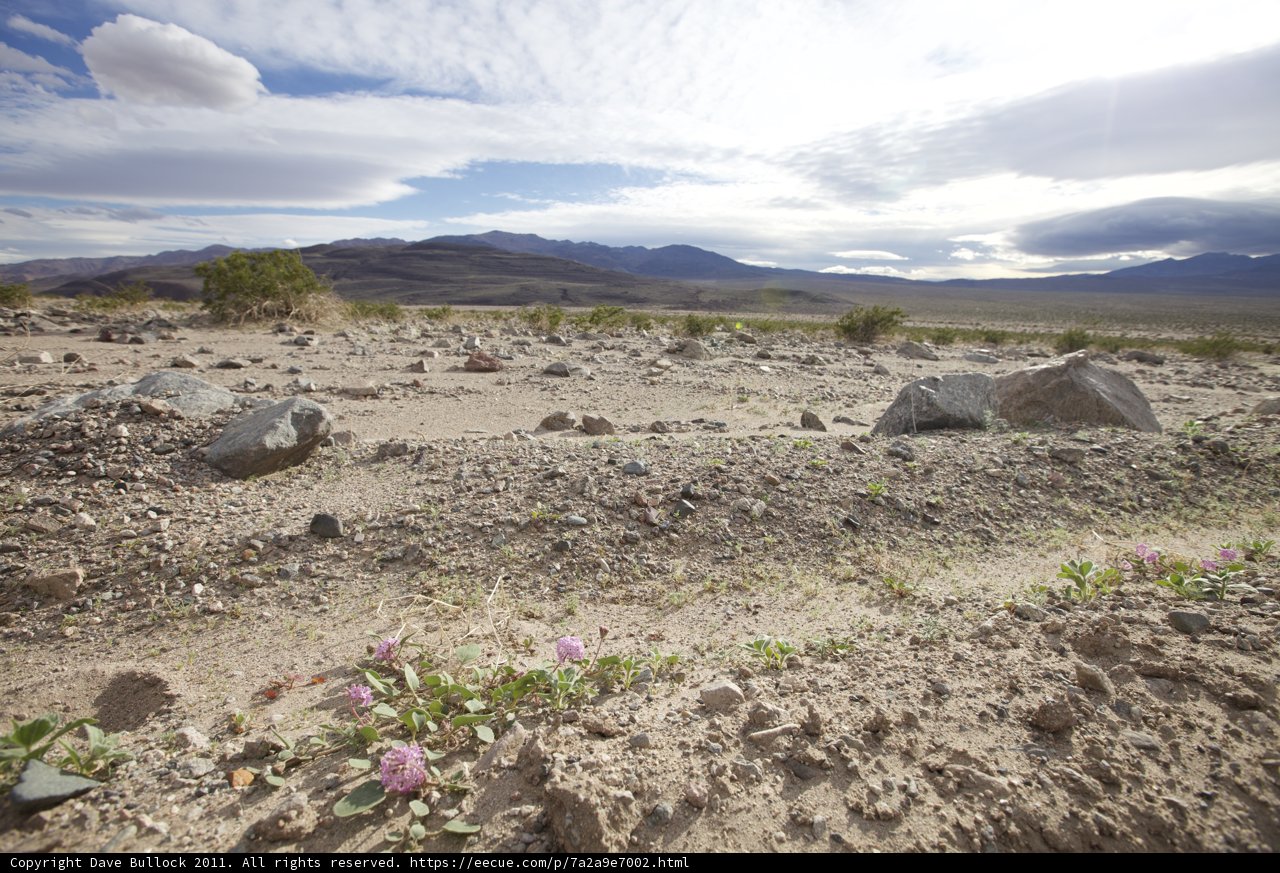 The Rustic Beauty of the Wilderness