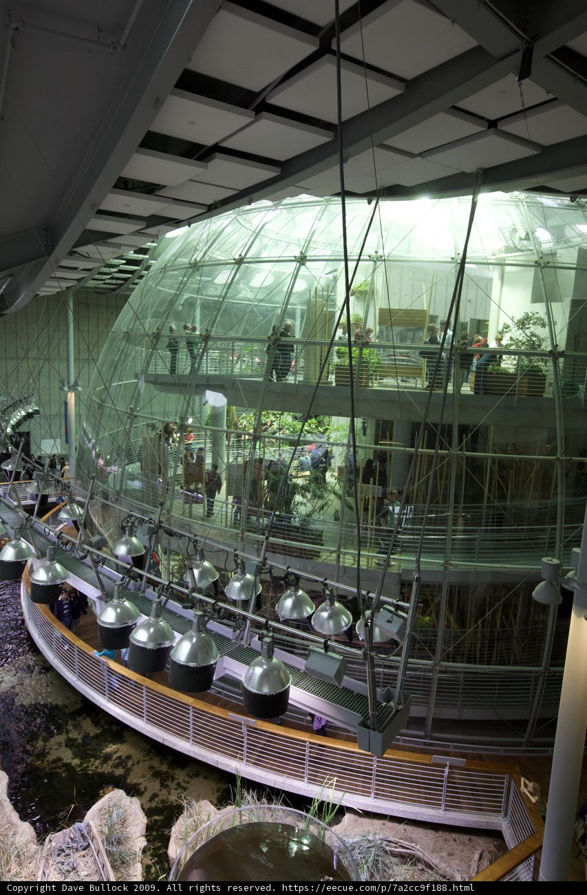 Under the Glass Sphere