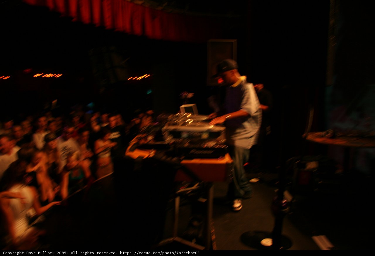 Crowd-Pleasing DJ Performance