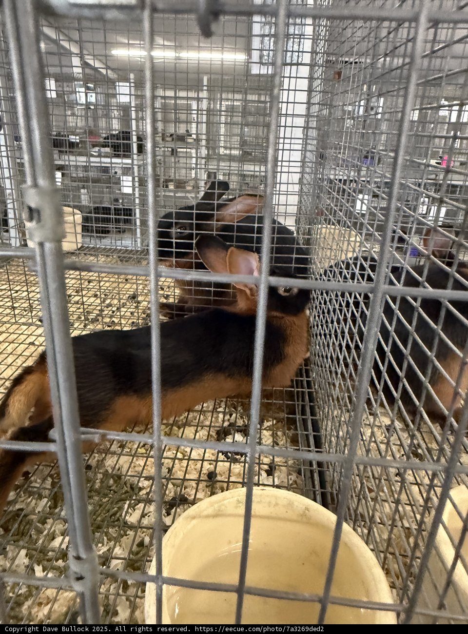 A Glimpse Inside the Shelter