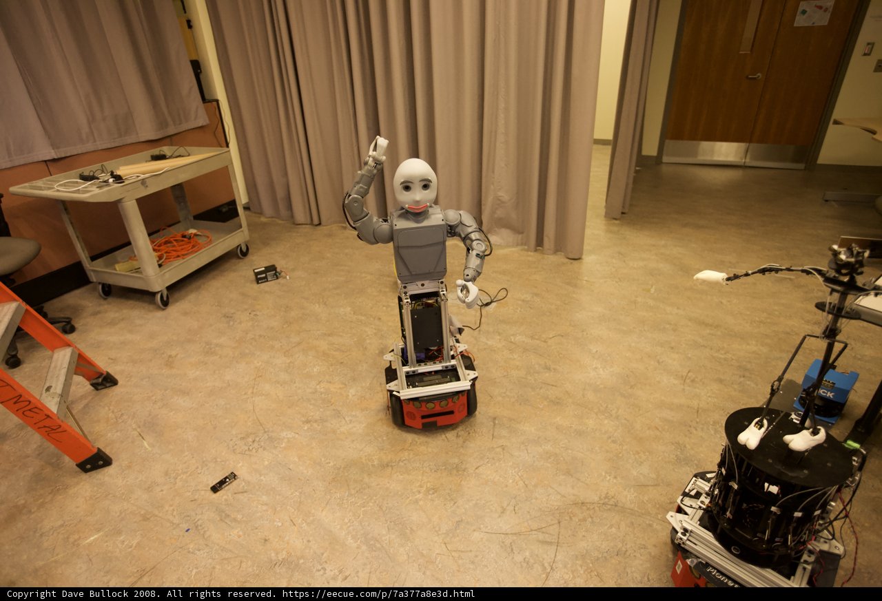 The Robot and the Ladder