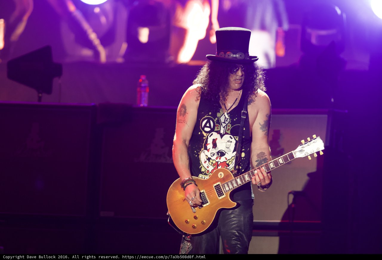 Slash Shredding in Atlanta