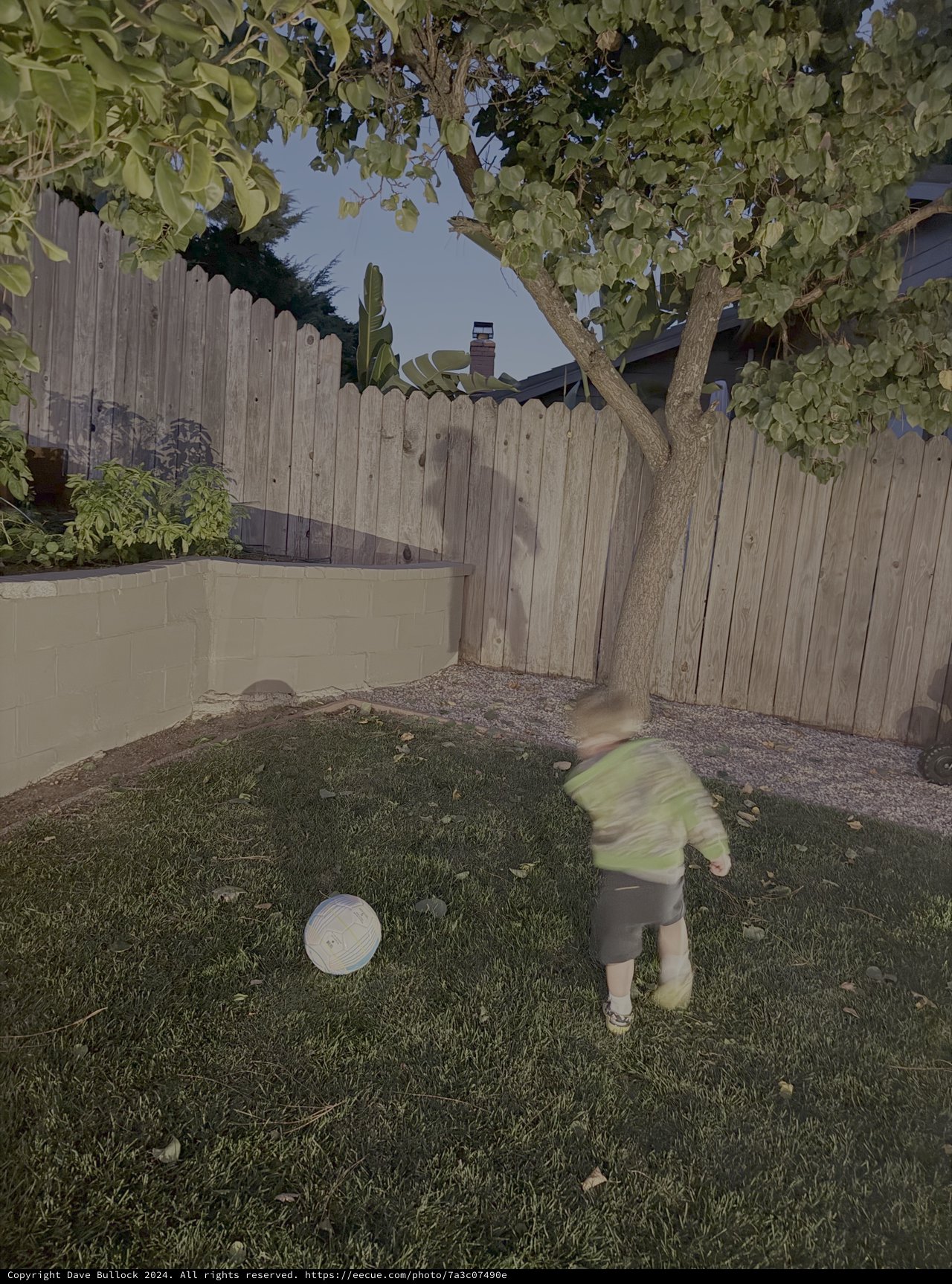 Child Playing with Ball in Backyard