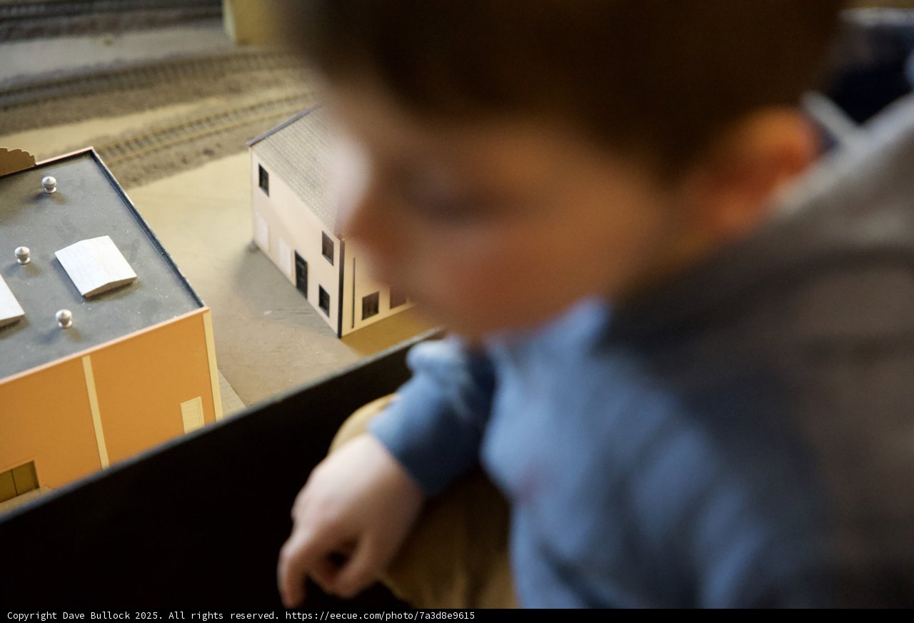 Wonder in Miniature