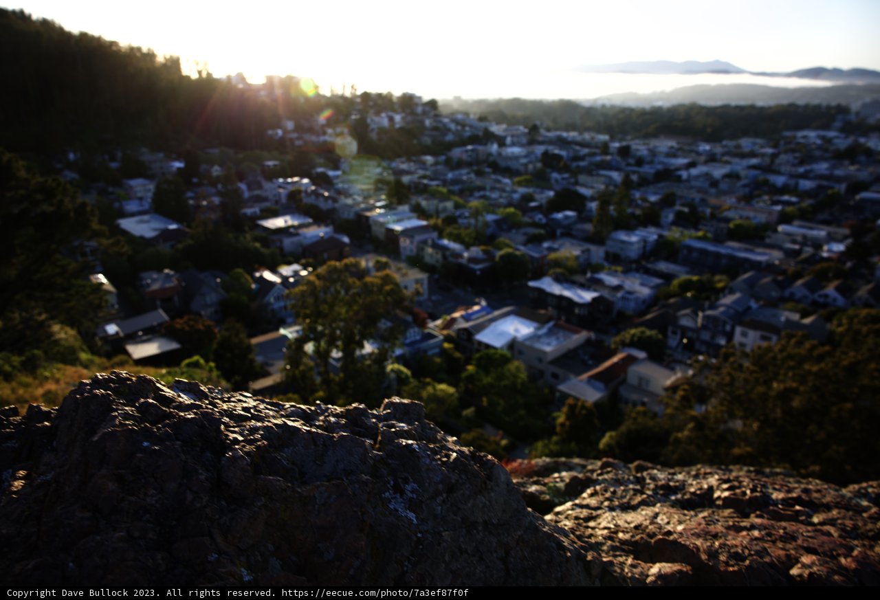 Serene City Vista
