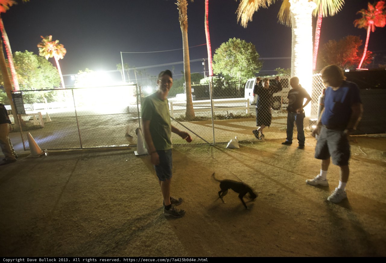 Nighttime Stroll with Man's Best Friend