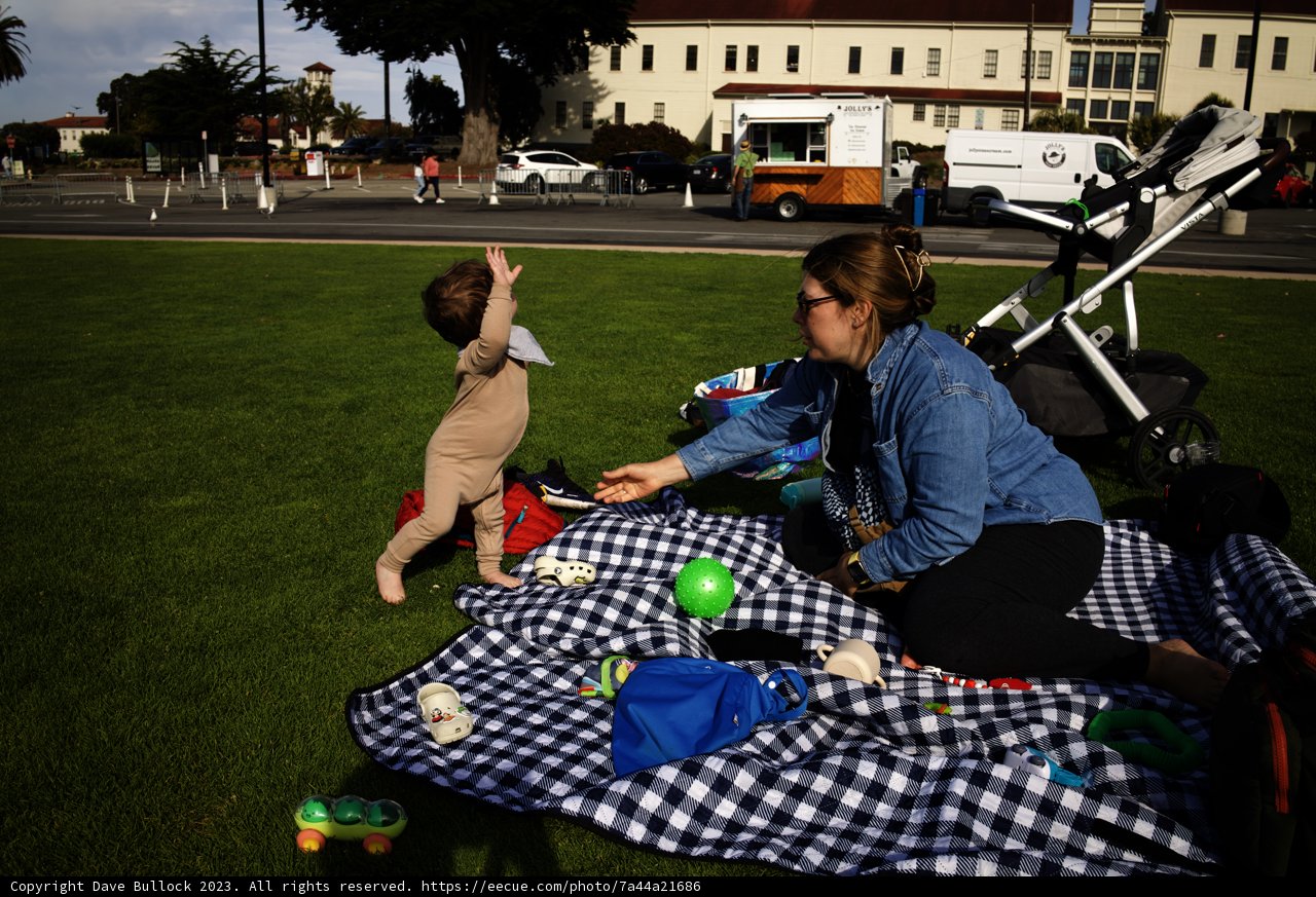 Joyful Picnic at Presidio