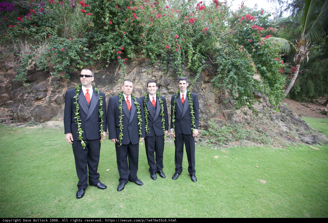Maui Wedding Party in Formal Attire
