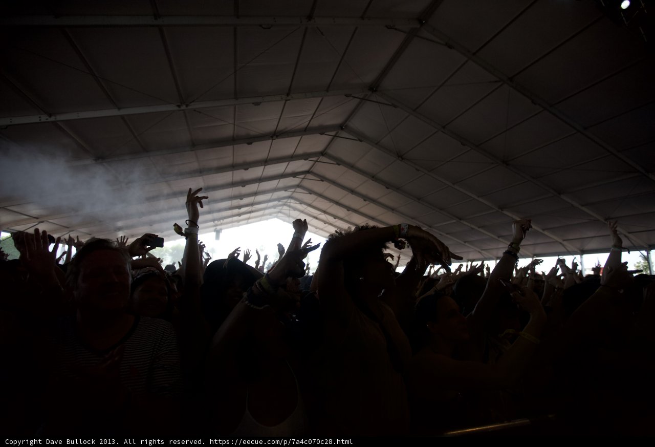 Crowd's Hands Up at Coachella Concert
