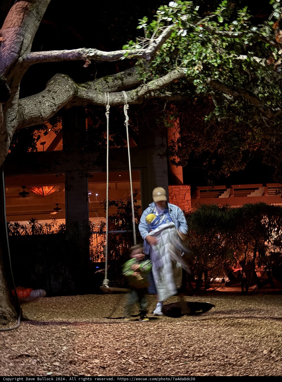Evening Playtime Under the Oaks