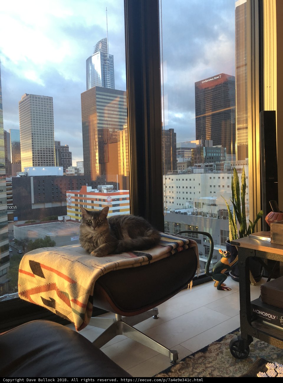 Feline overlooking the Metropolis
