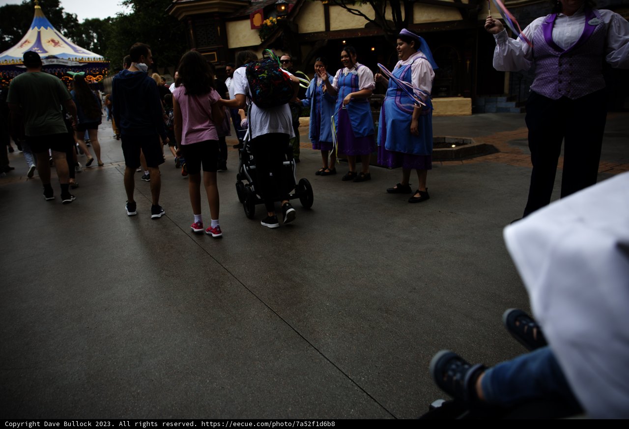 Magical Adventures at Disneyland
