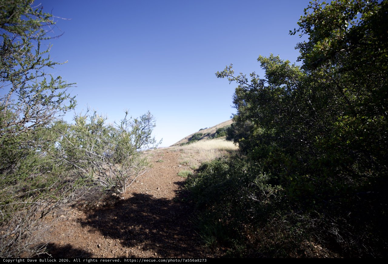 Sunlit Dirt Trail Ascending Through Chaparral Scrub