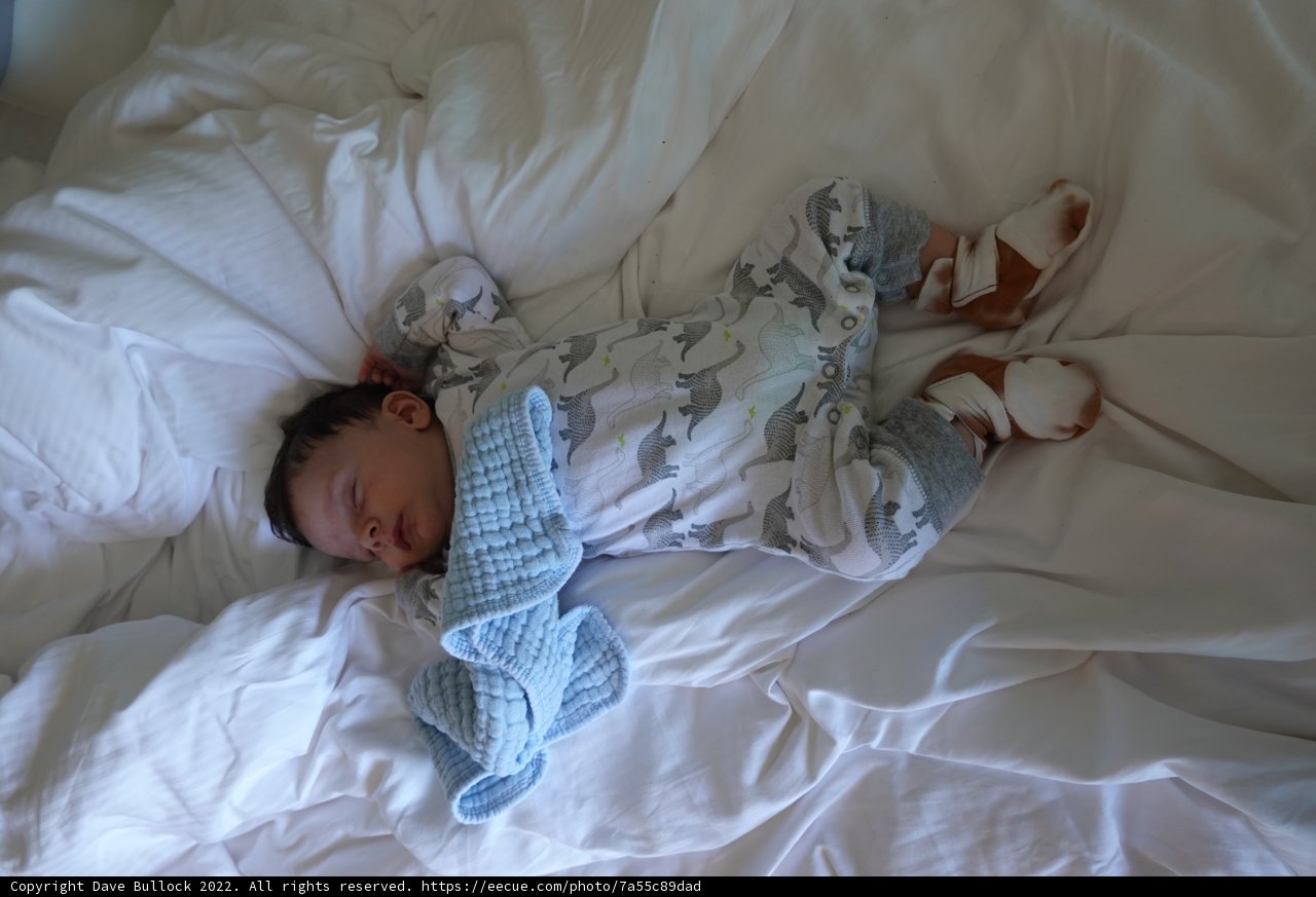 Serene Slumbers: Baby's Tranquil Moments".