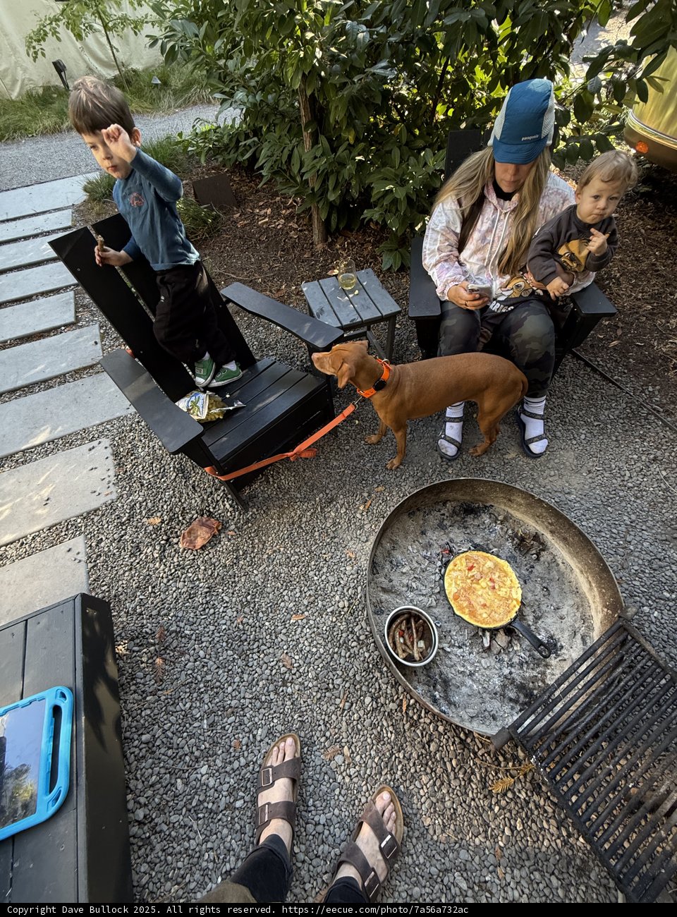 Morning Happiness in Guerneville