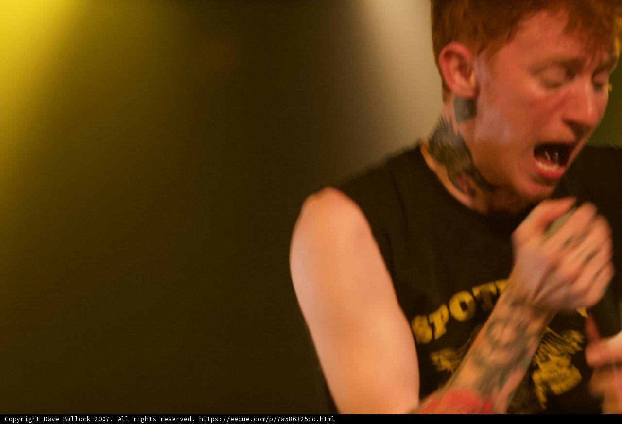 Bad Religion Live in Concert