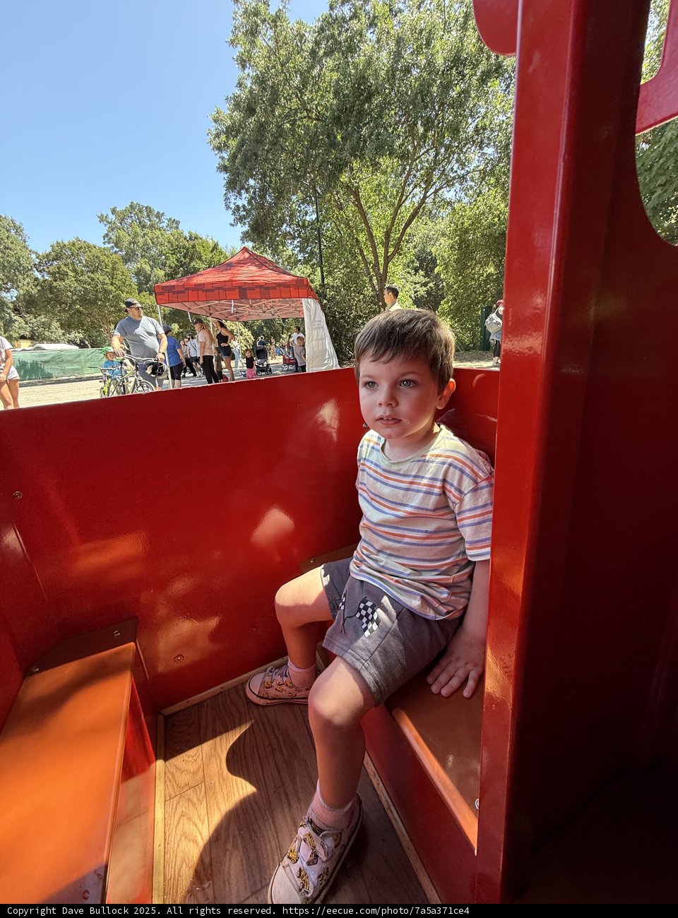 Summer Adventures in Walnut Creek