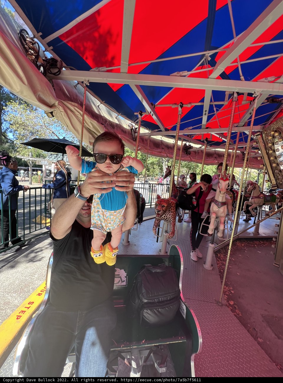 Captivating Carousel