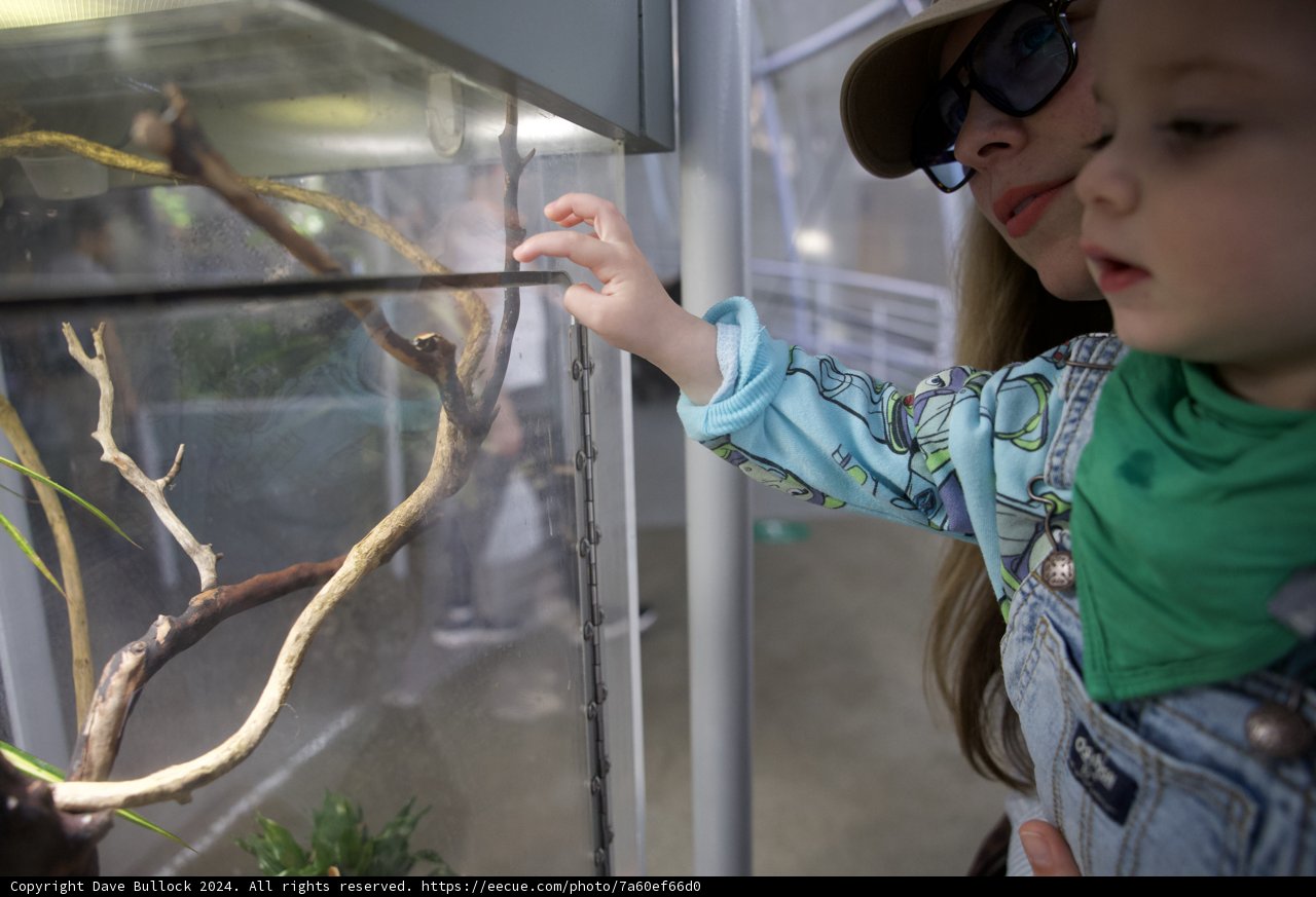 Discovering the Serpent's World