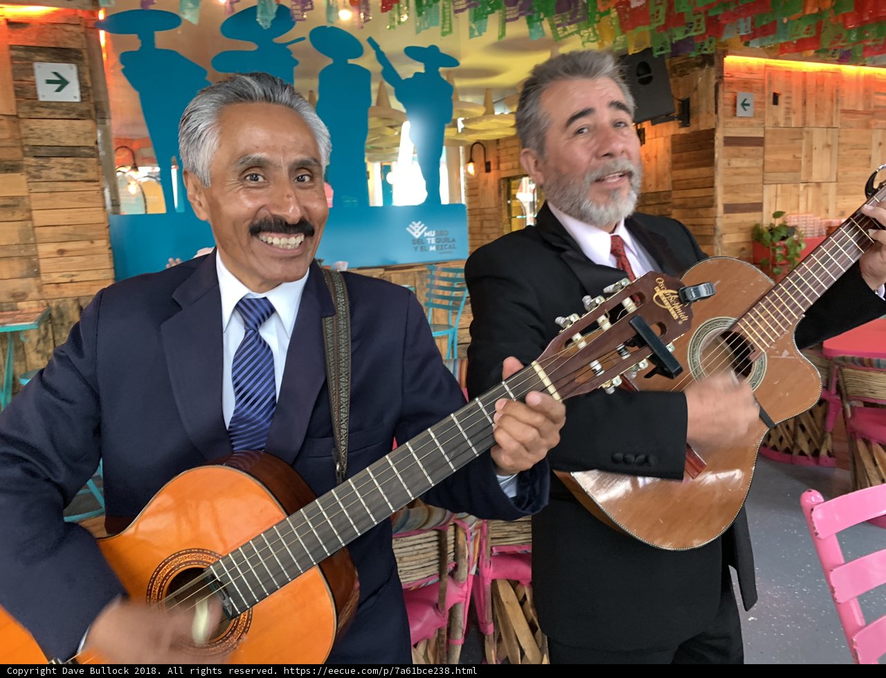 The Guitar Duo