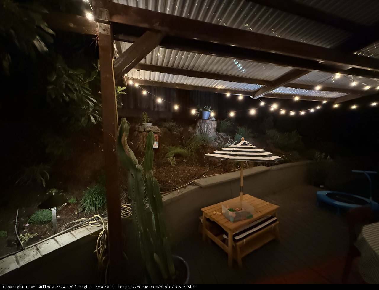 Evening Serenity on the Patio