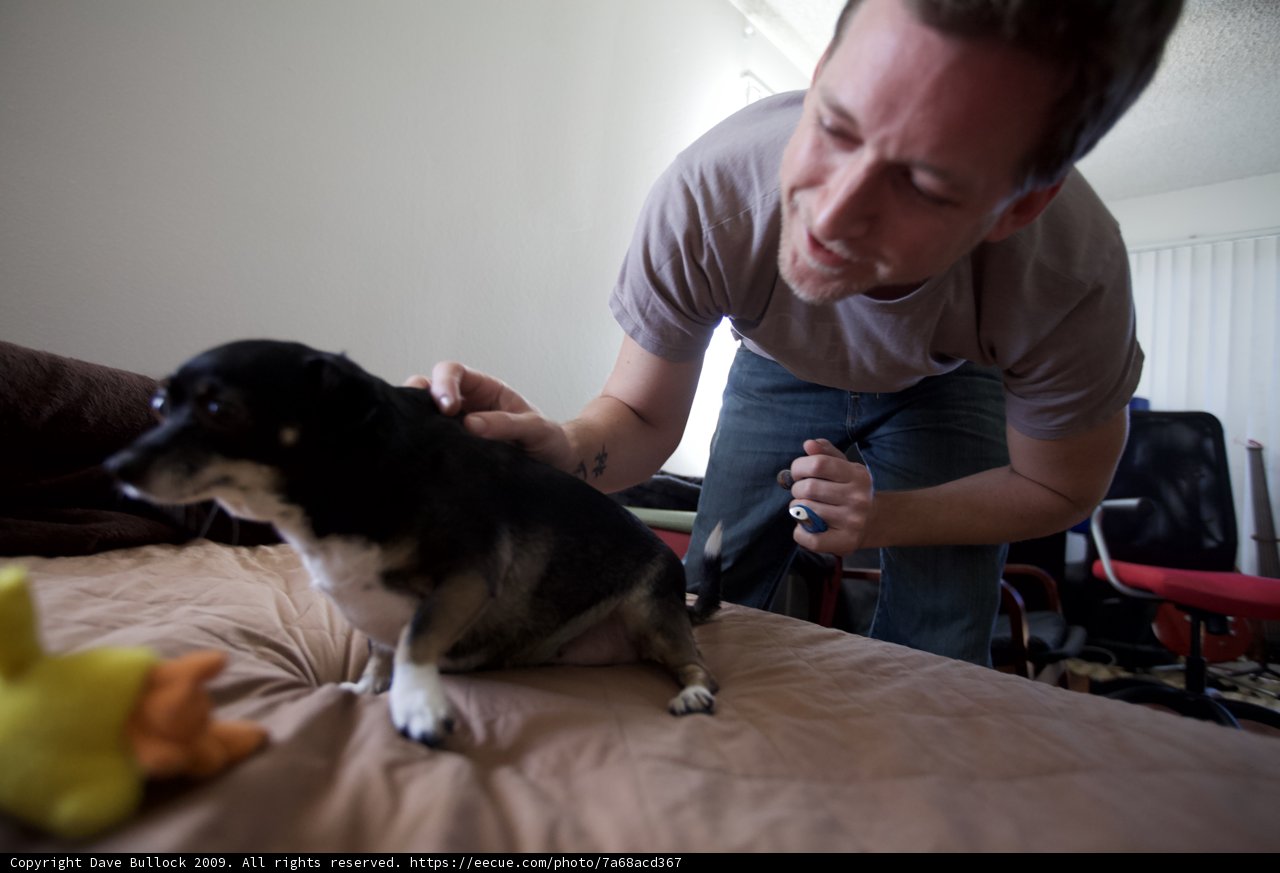 Grooming Time