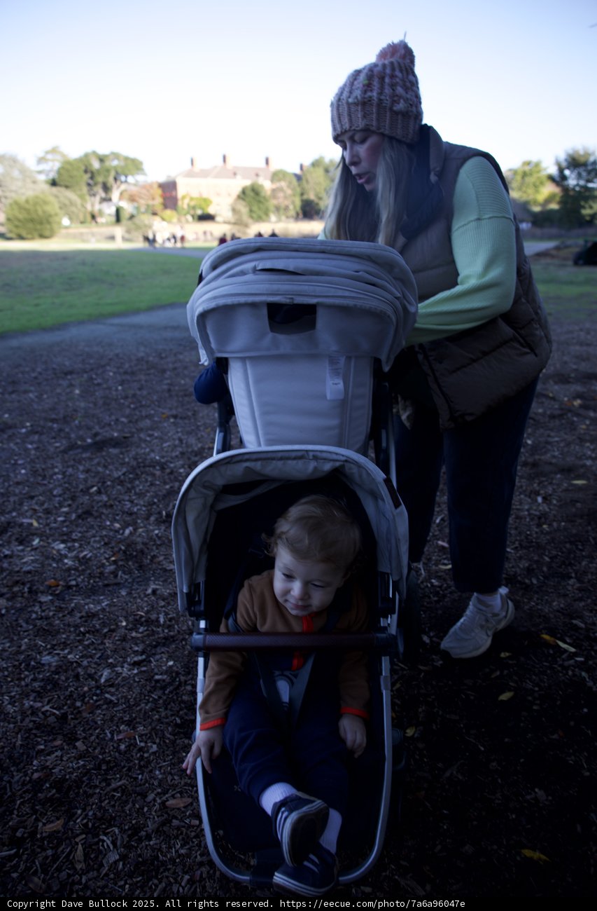 Autumn Stroll at Thistlewyck