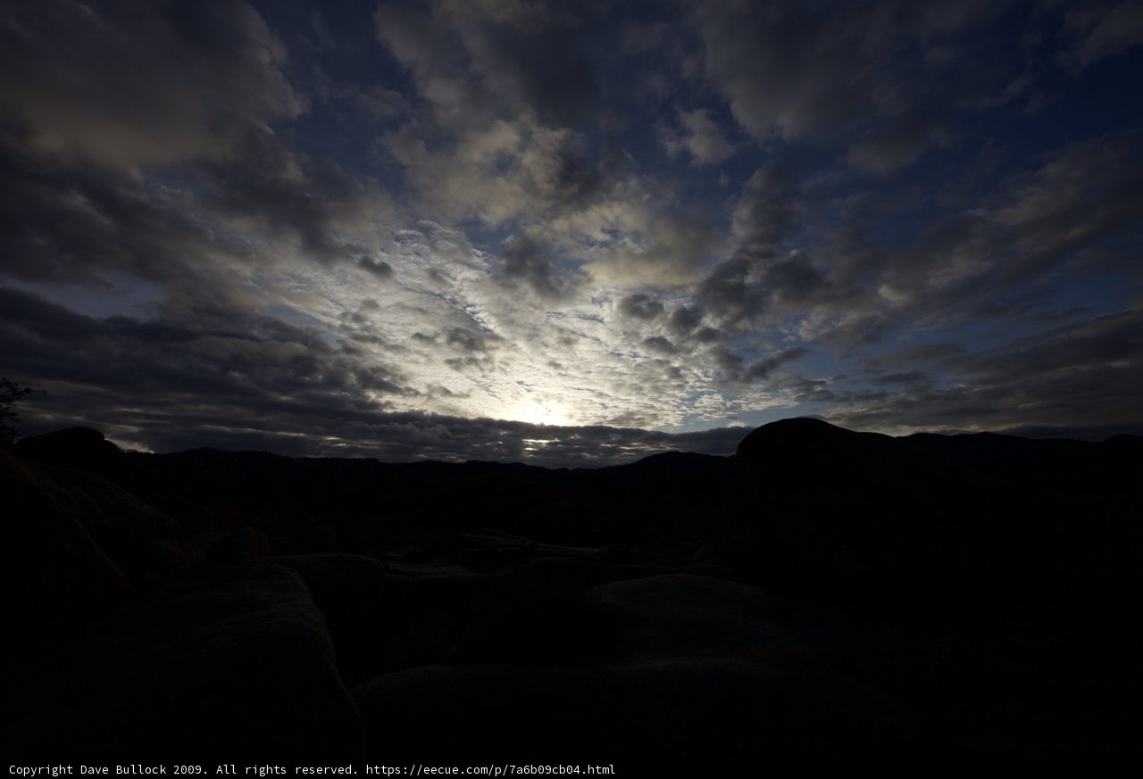 Golden Hour over Joshua Tree