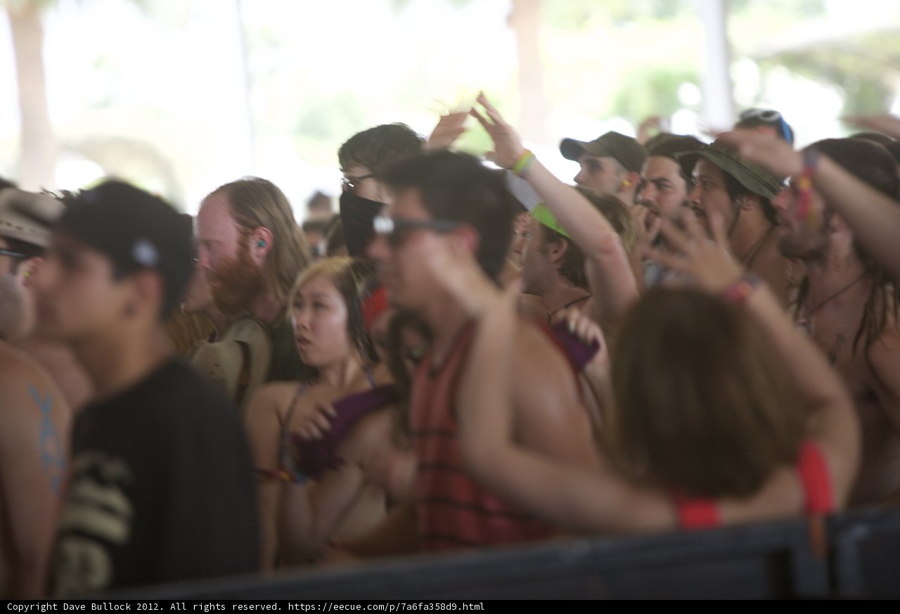 The Joyful Crowd at Coachella 2012