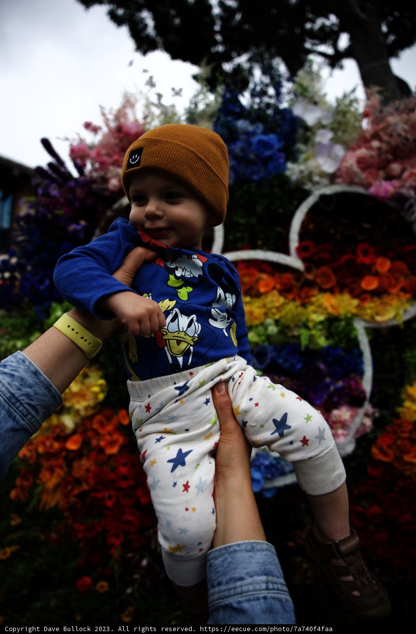 Blooming Memories at Disneyland