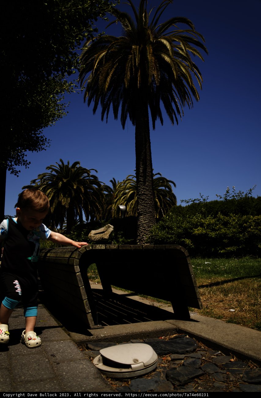 Summer Skater Boy: The Joys of Youth