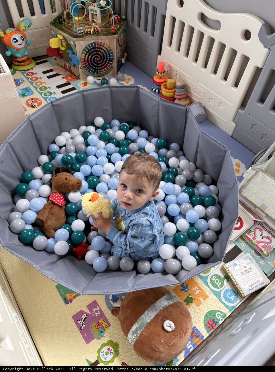 Joyful Playtime in the Ball Pit