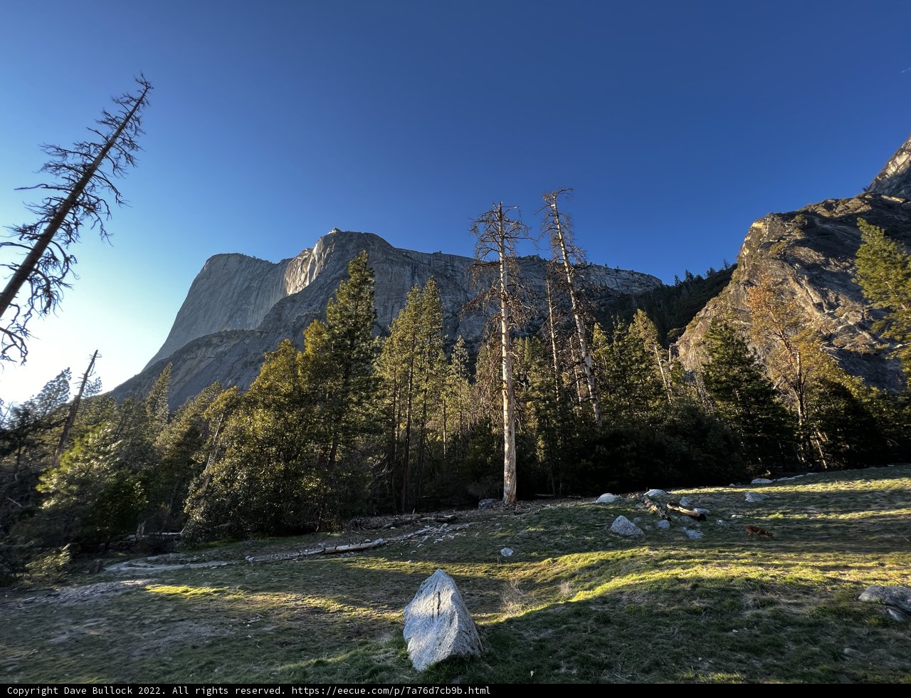 A Majestic View of Half Dome from the Top of a Mountain
