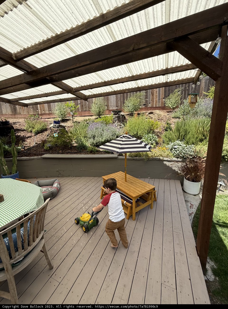 Backyard Adventures Under the Pergola