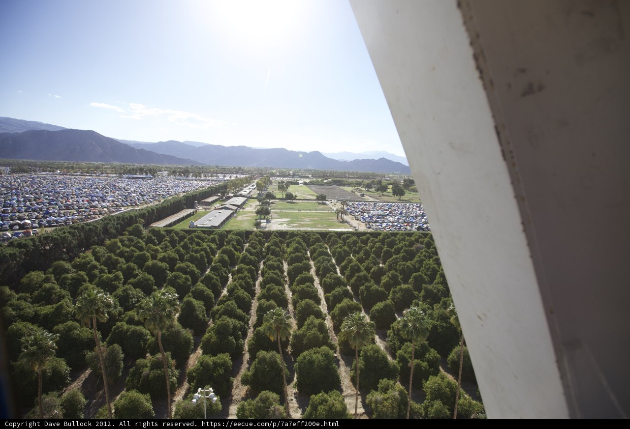 Window View of Park