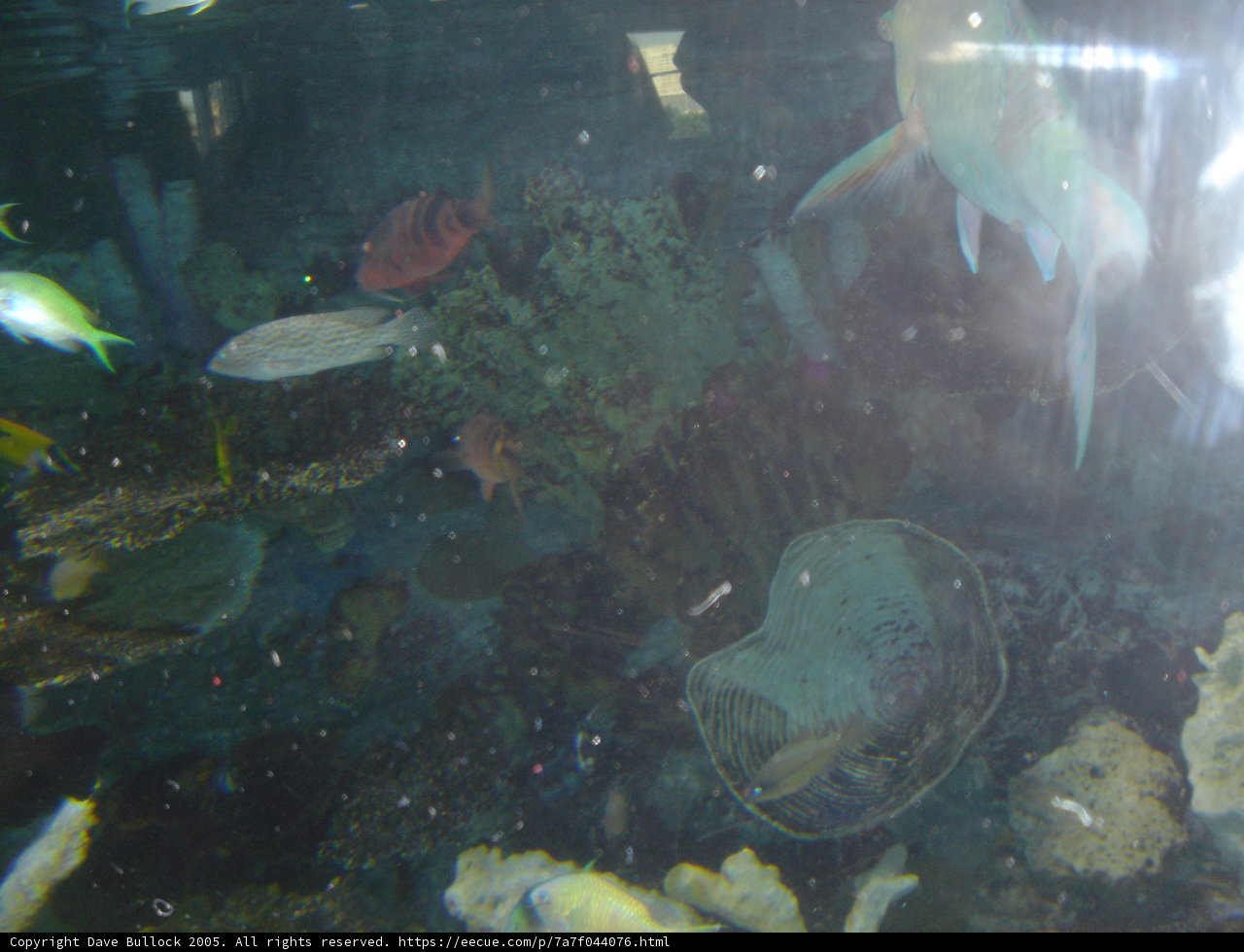 A Diverse World Underwater