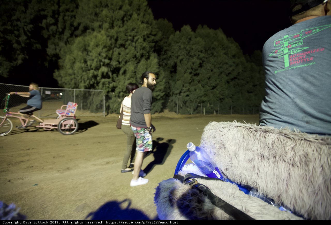 Night Ride with a Companion