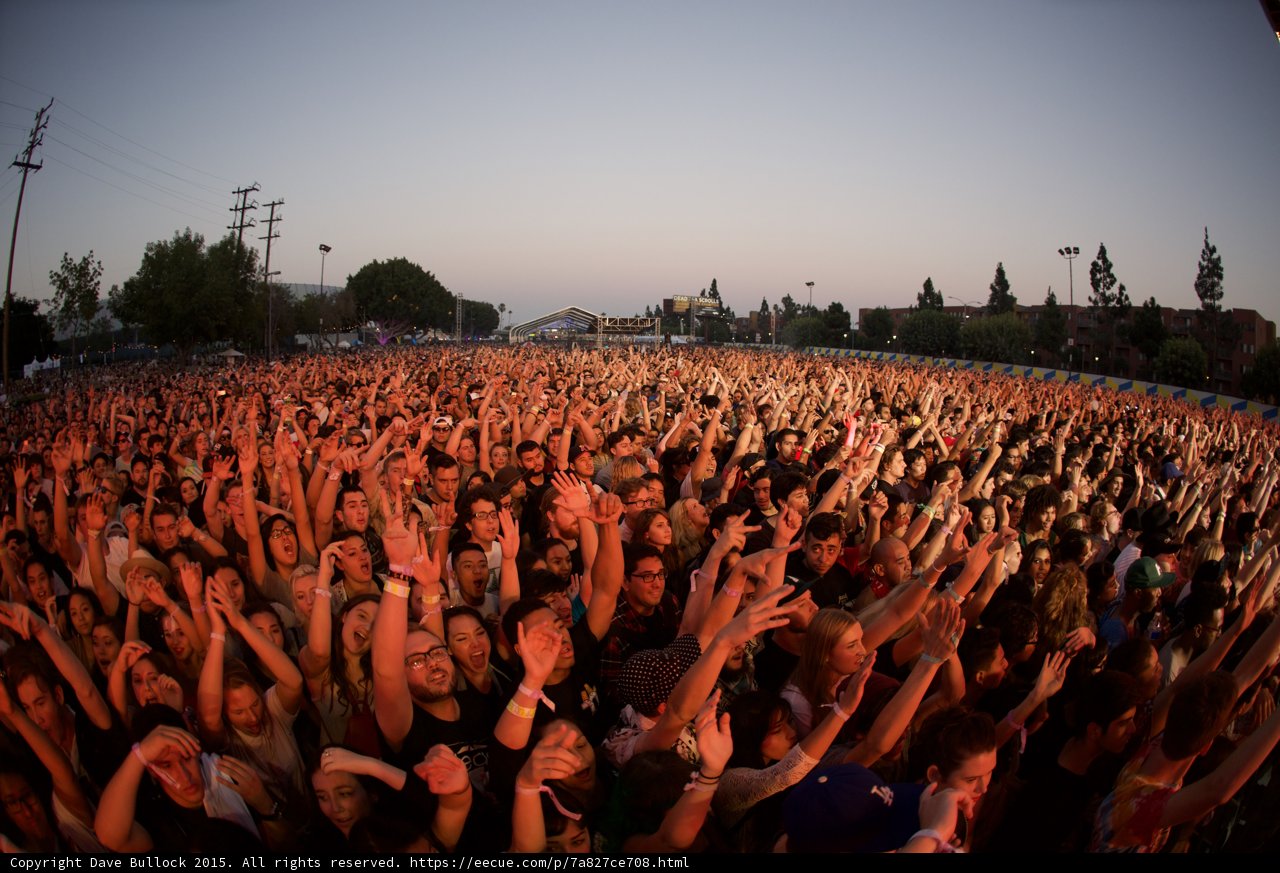 Crowd Hands Up Dusk