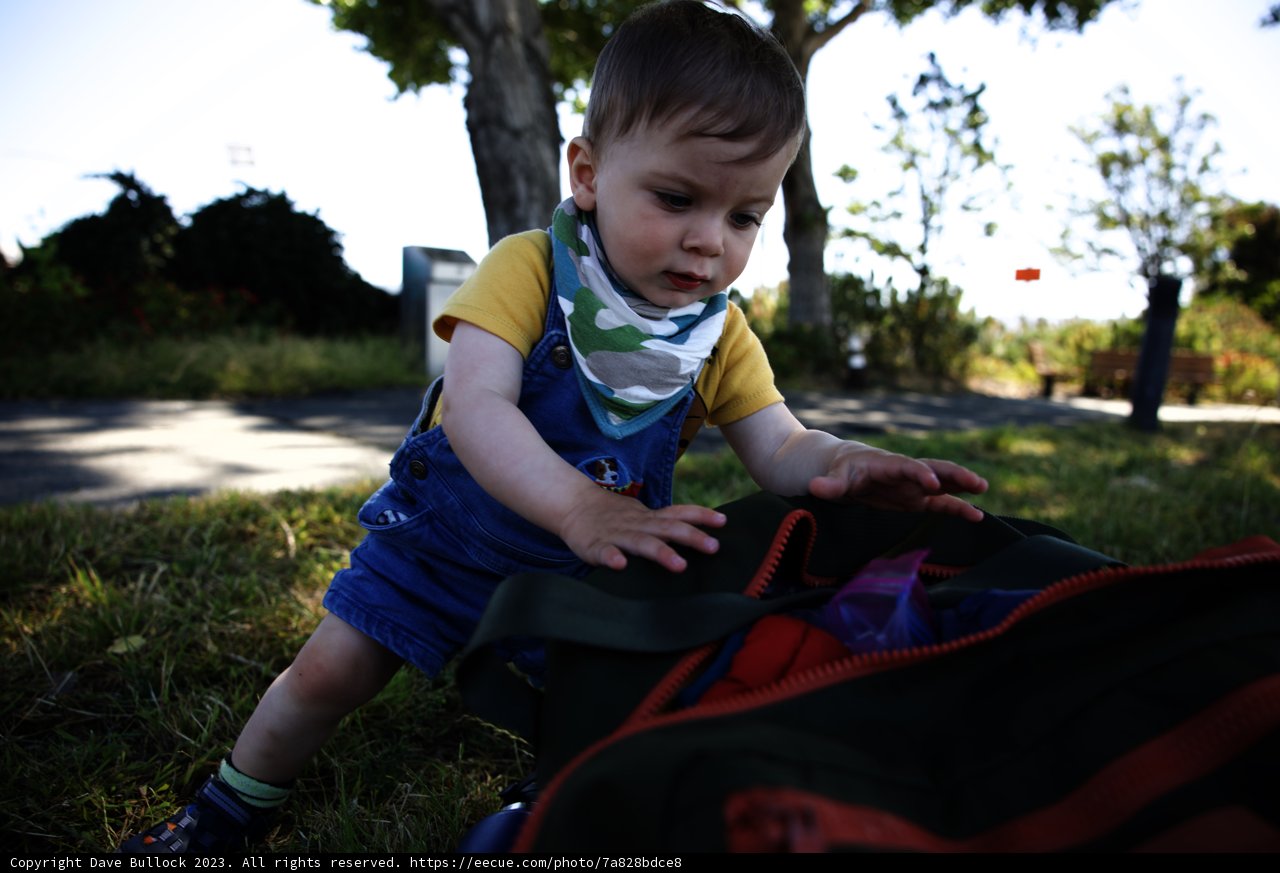 Summer Playtime at Bayfront Park, 2023