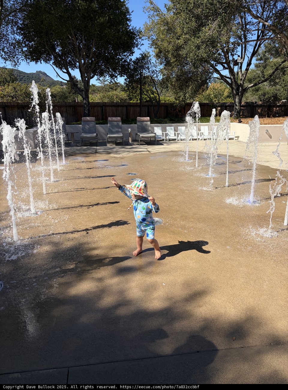 Joyful Play by the Fountains