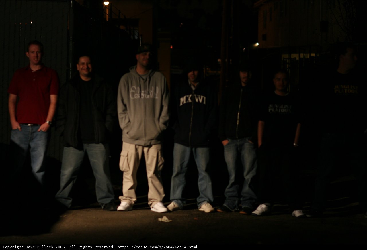 Nighttime Gathering at the Fence