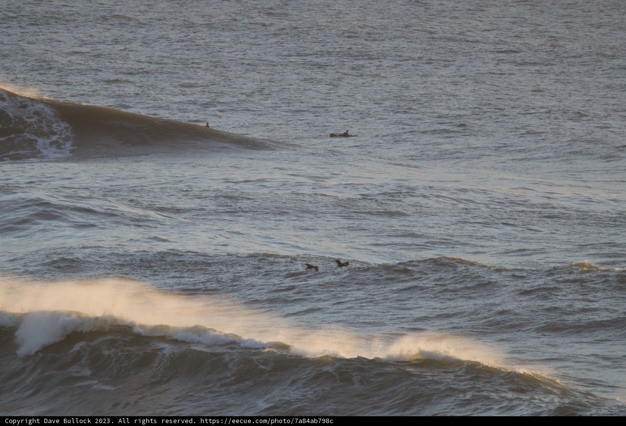 Conquering the Mavericks, 2023