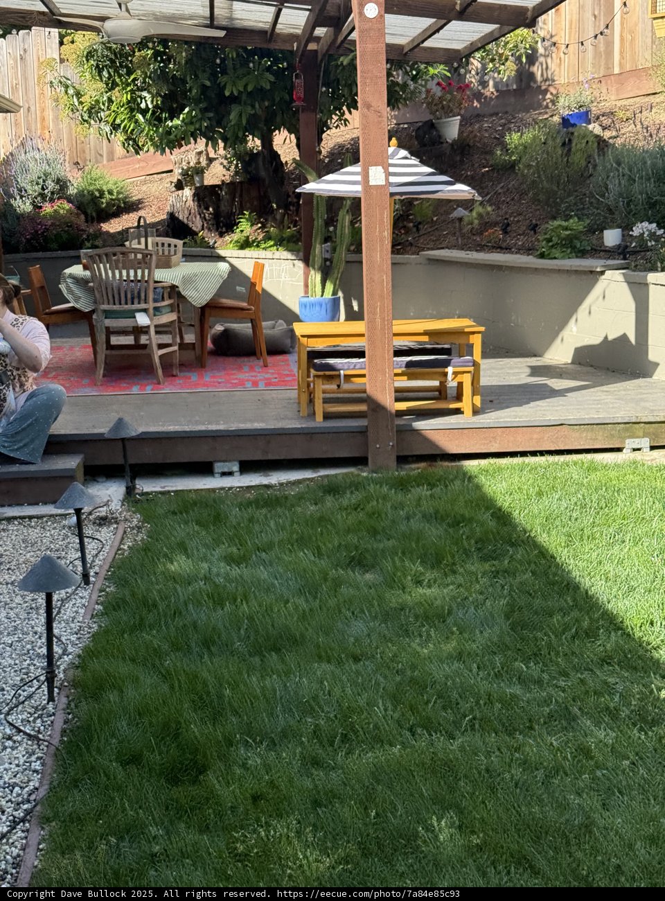 Tranquil Backyard Retreat