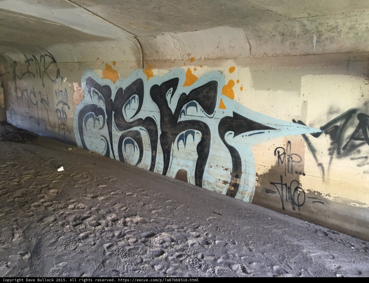 Bridge Graffiti Art