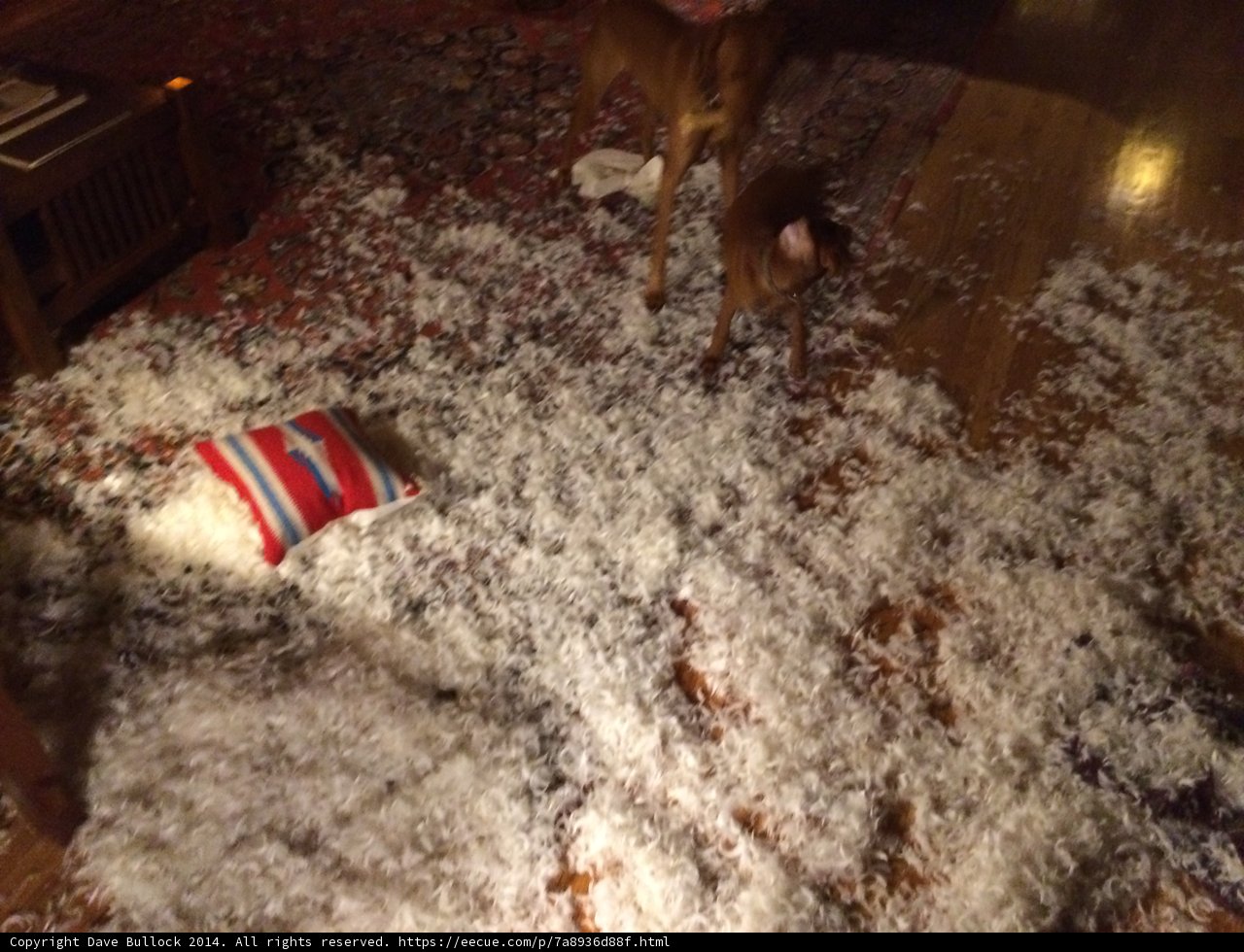 Shredded Paper Pup