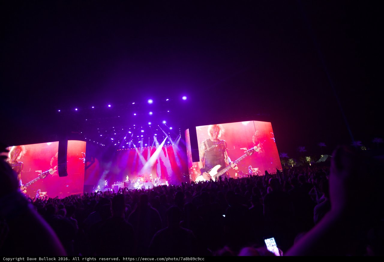 The Bright Lights of Coachella