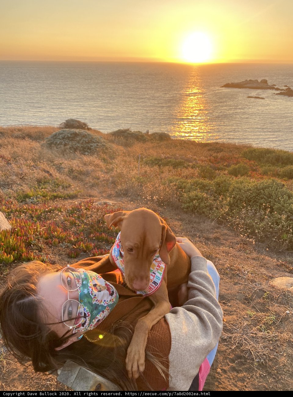 Sunset Serenity with Furry Friend