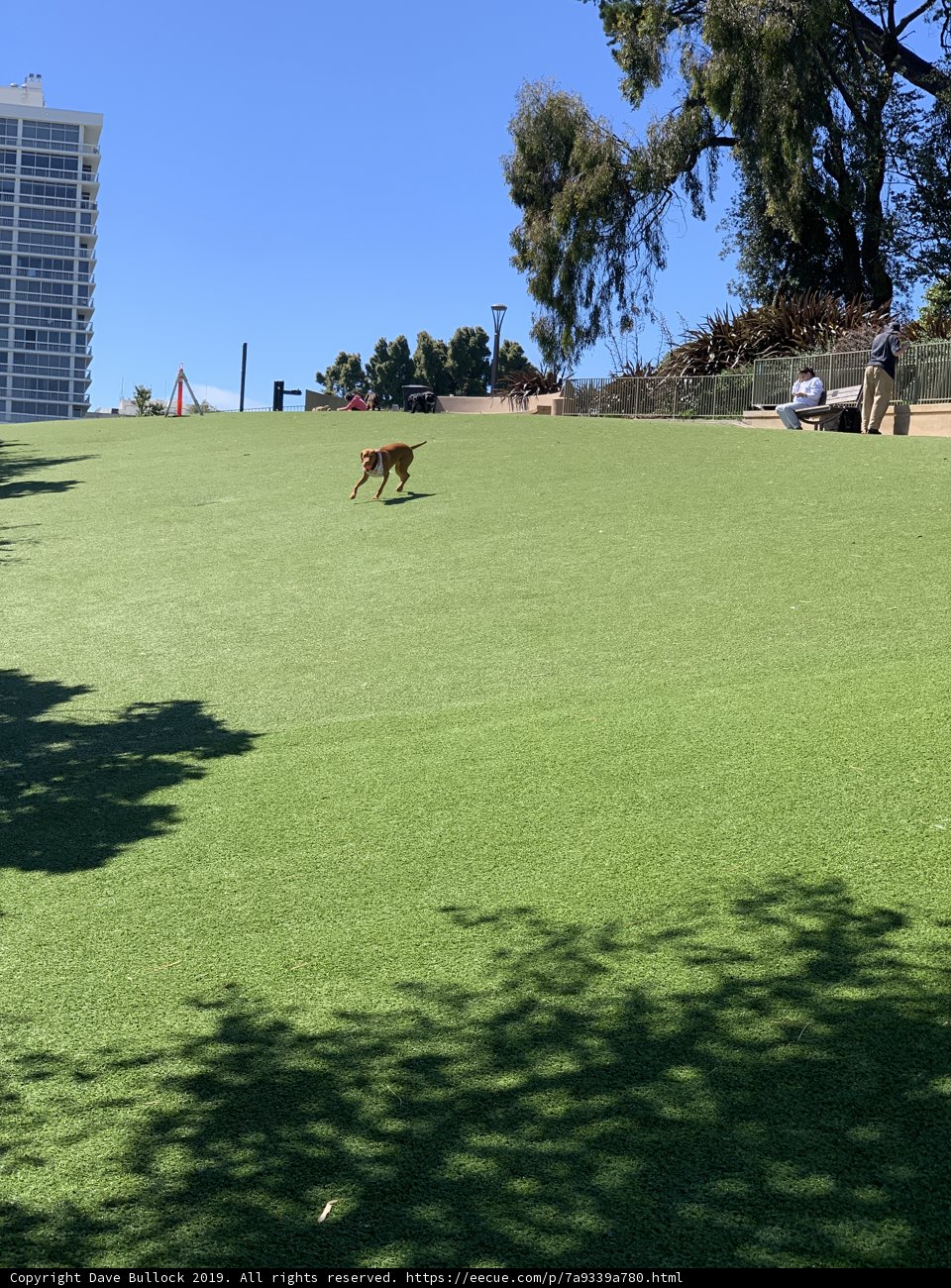 A Day at the Park