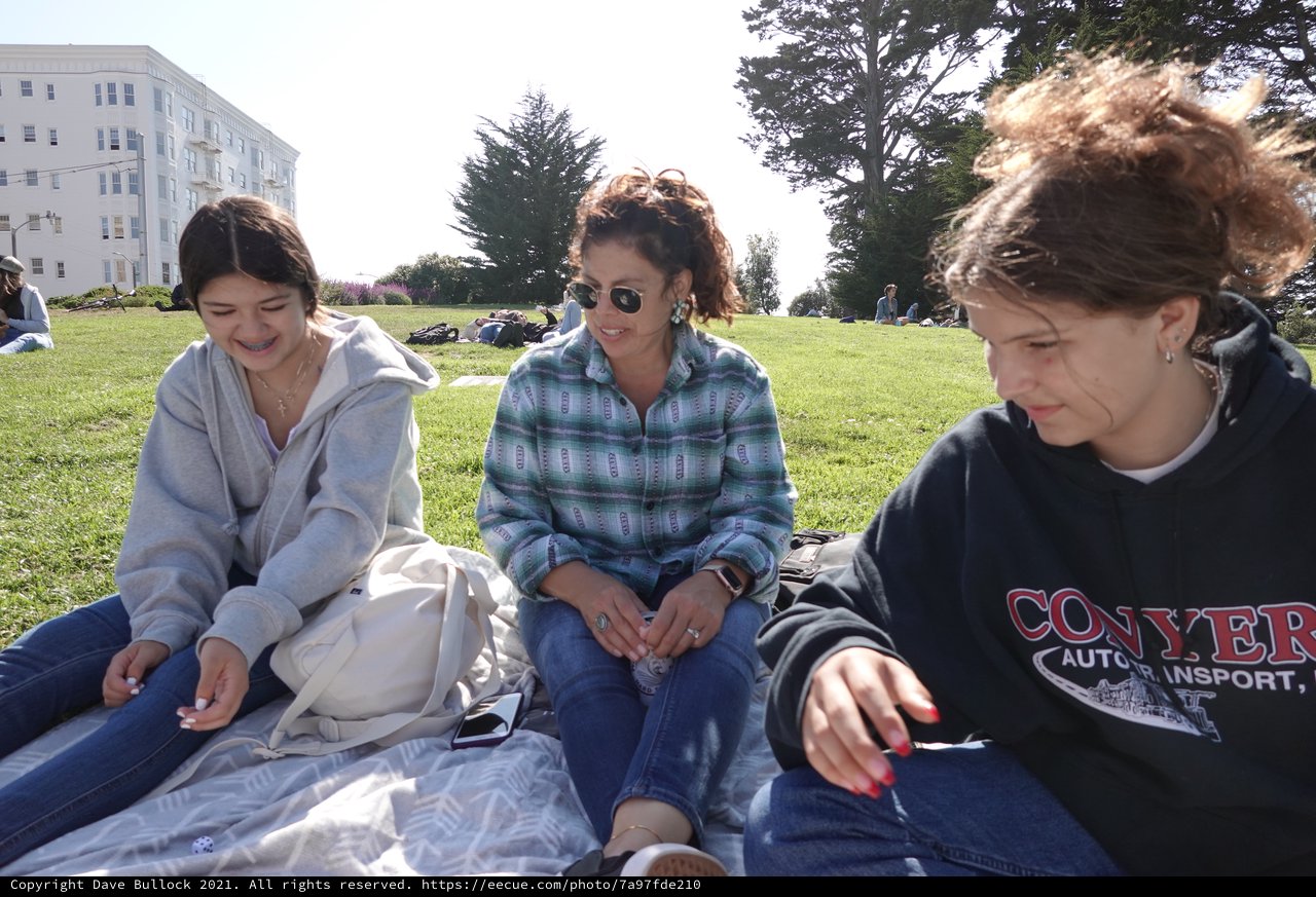 Friends Enjoying Sunny Afternoon Park Picnic