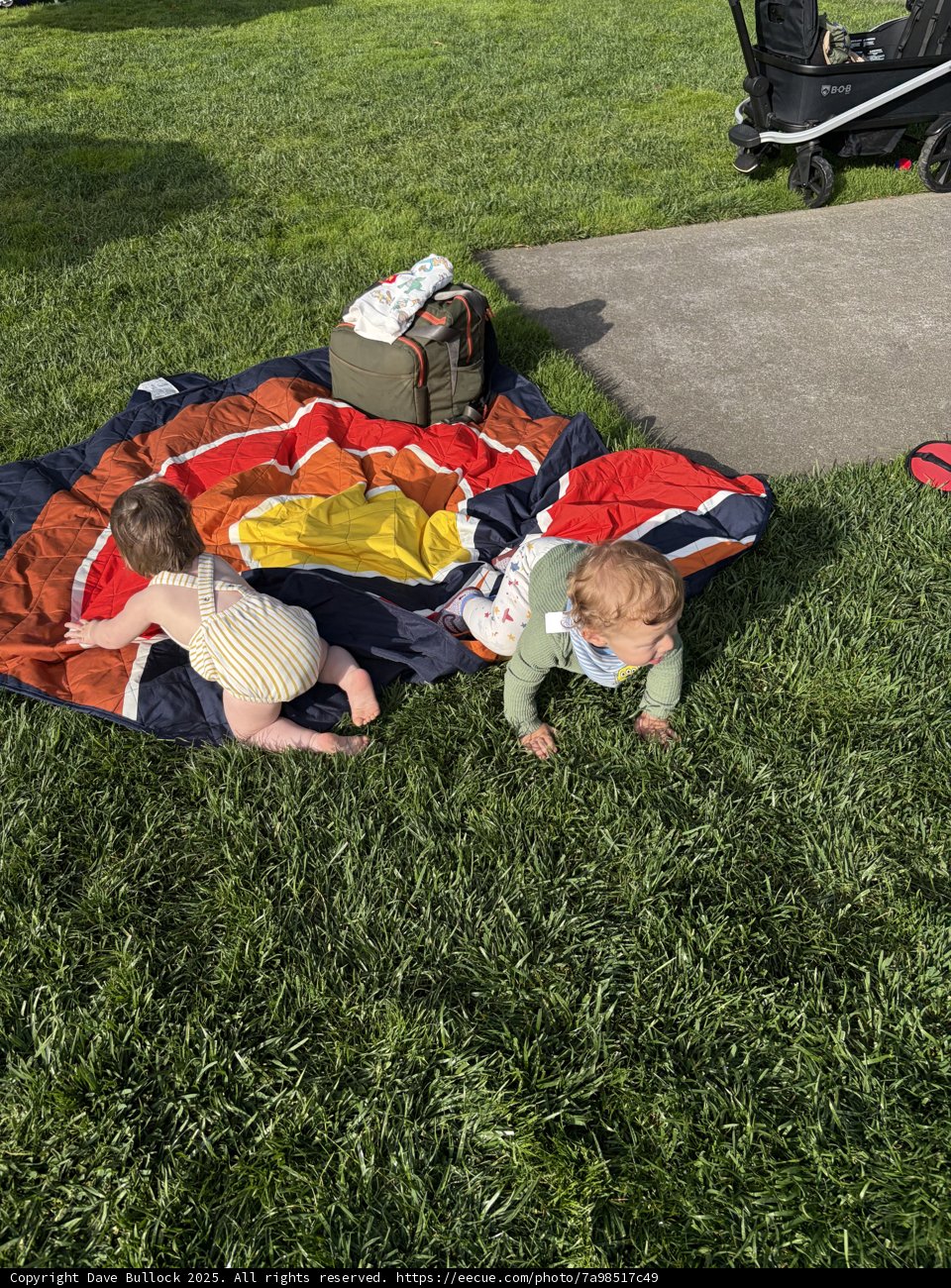 Adventures in the Grass